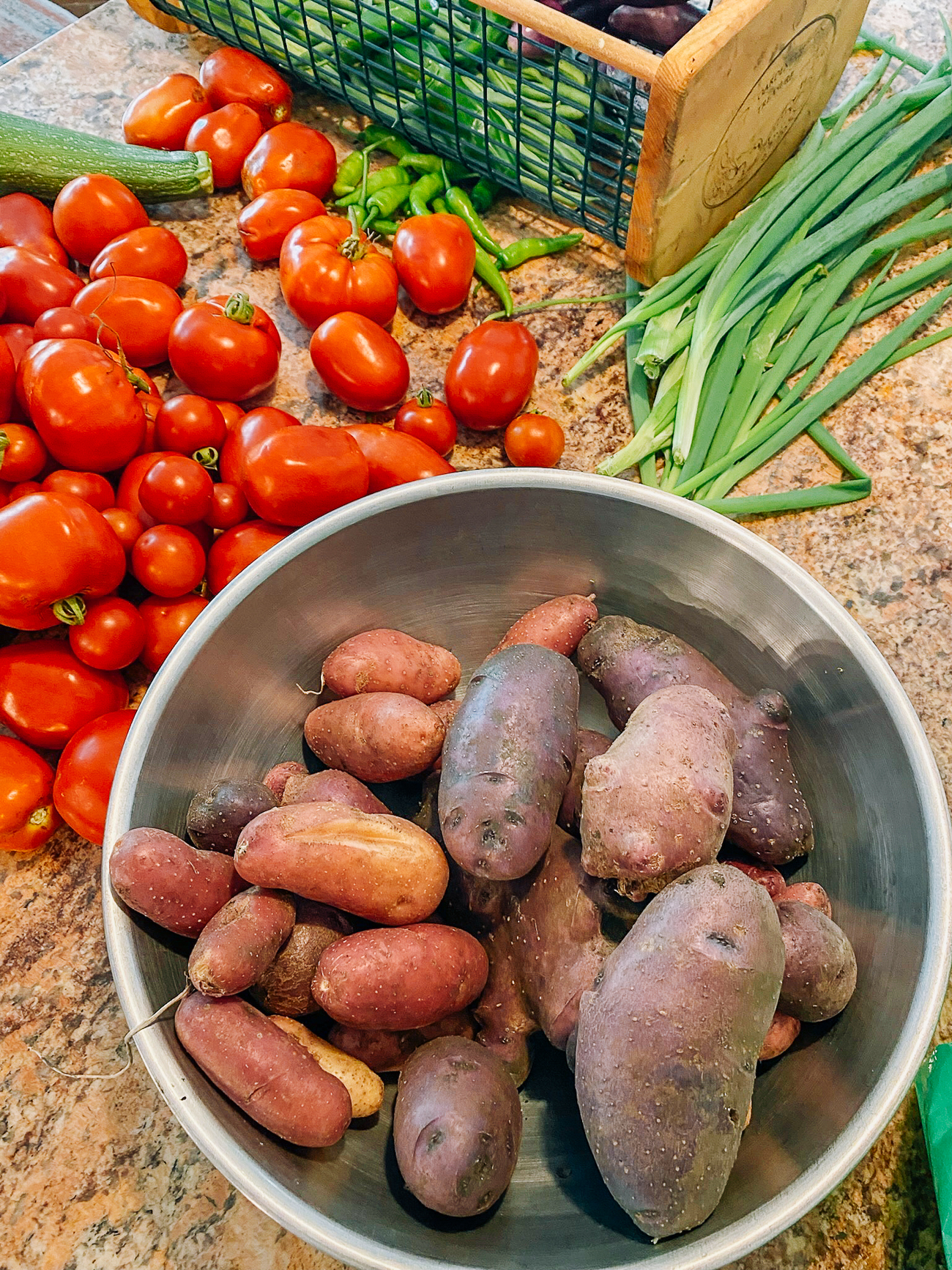 Tomato and potato harvest