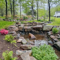 The Woks of Life 2025 garden update