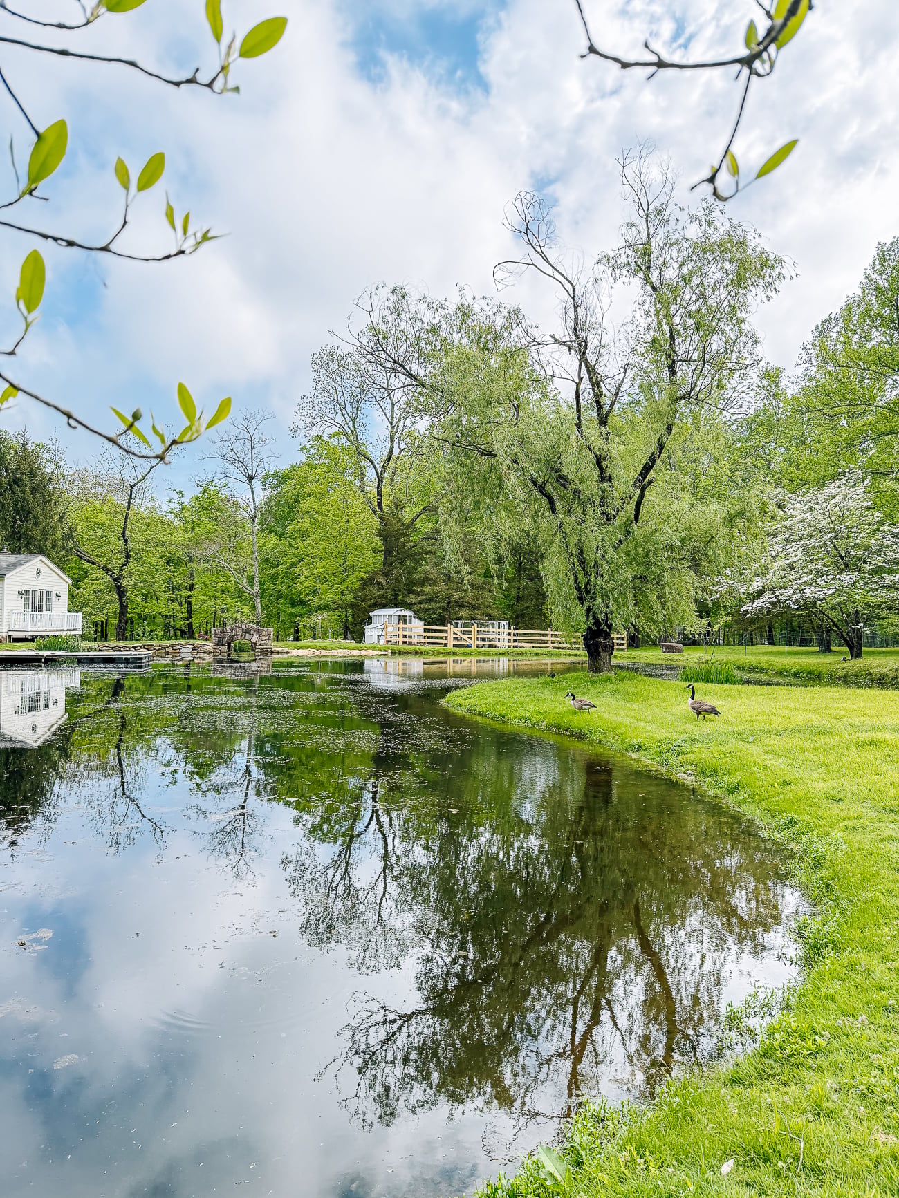 TWOL pond