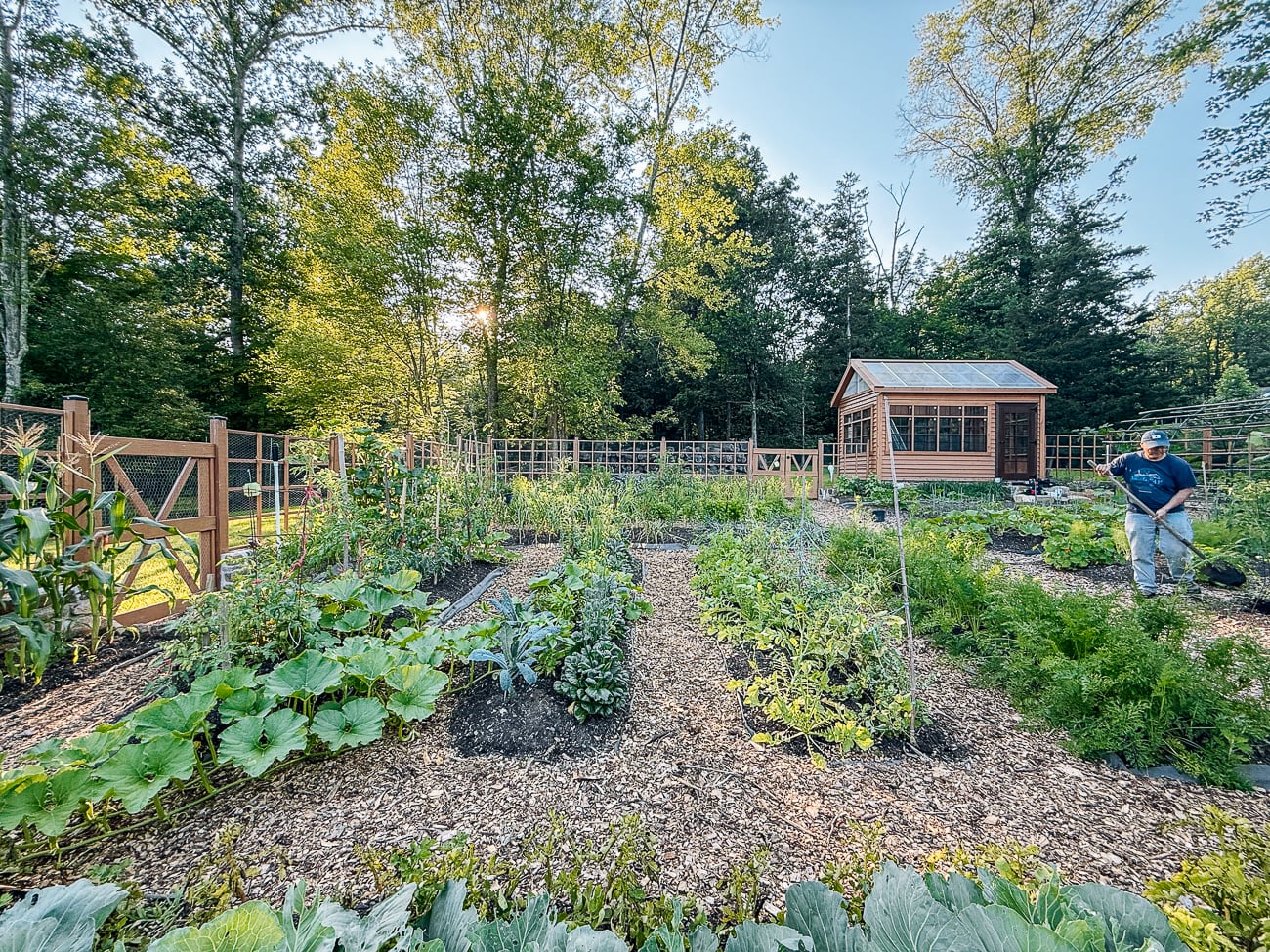 TWOL vegetable garden