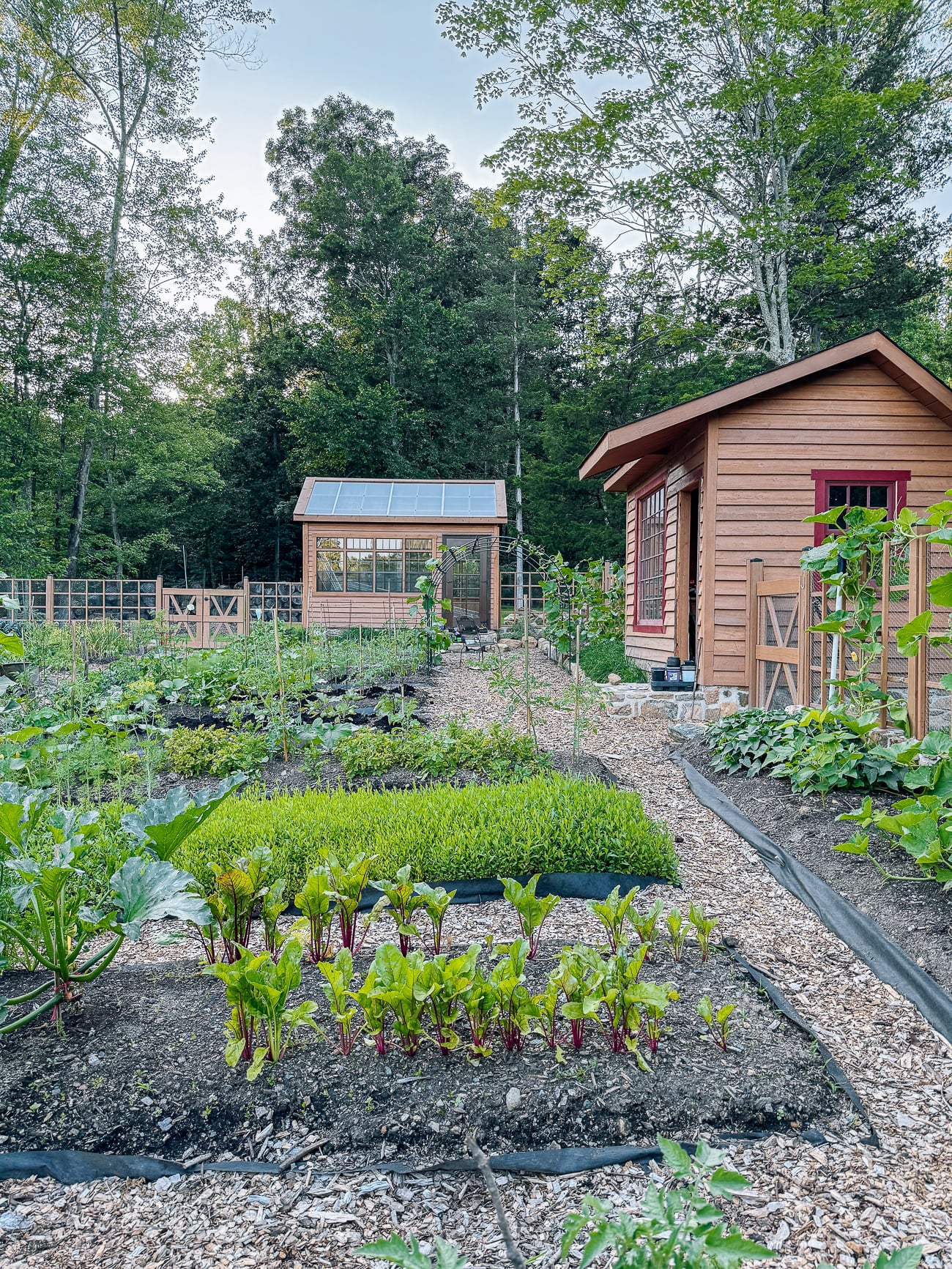greenhouse and potting shed