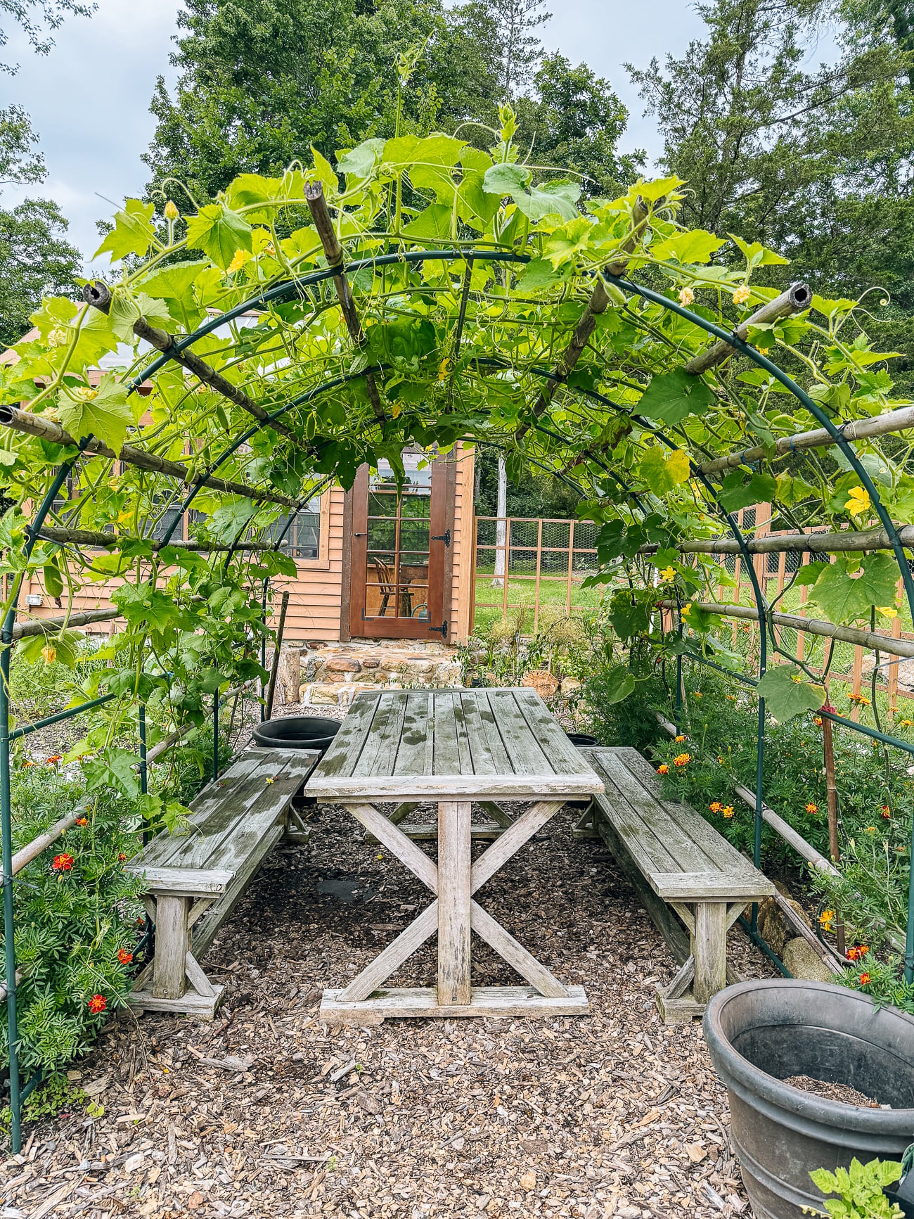 squash tunnel with picnic table underneath